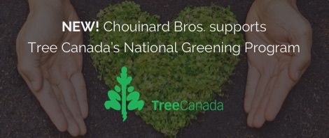 Tree Canada's National Greening Programming in Toronto, Ontario