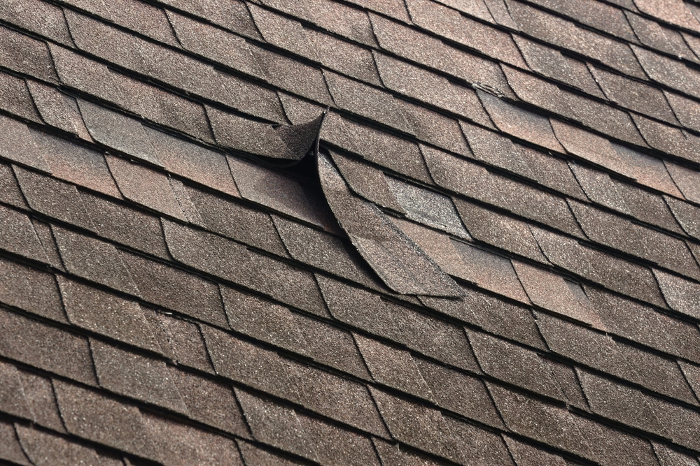 Should You Repair Your Roof on Your Own? – A Guide for Ontario